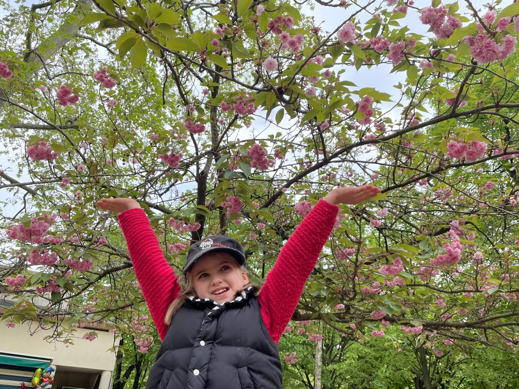 La semaine #21 de&nbsp;Poppy