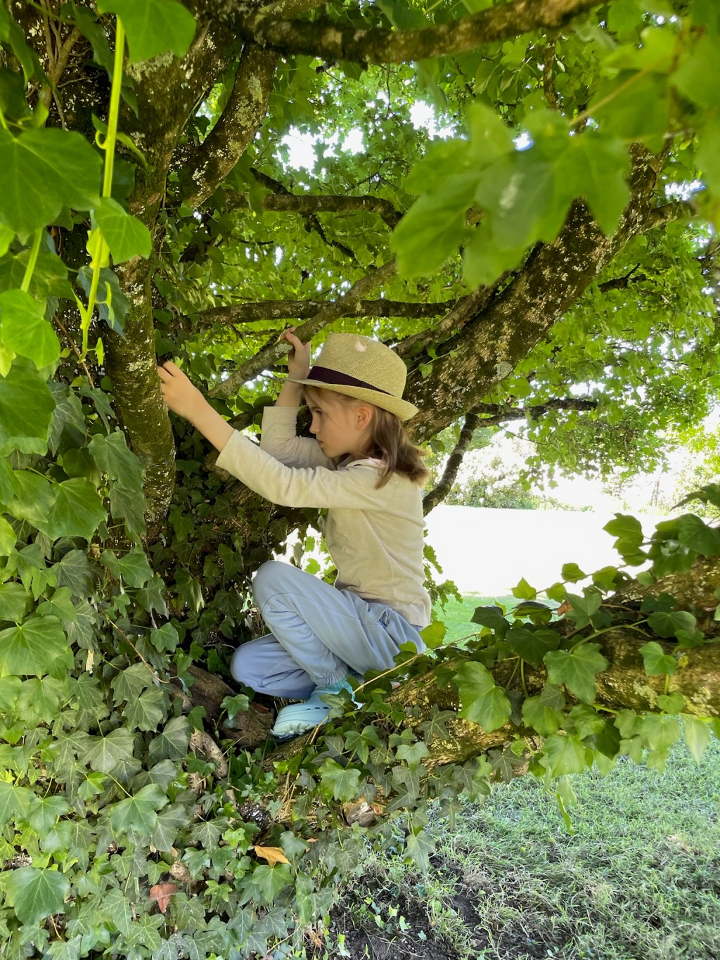 La semaine #33 de&nbsp;Poppy