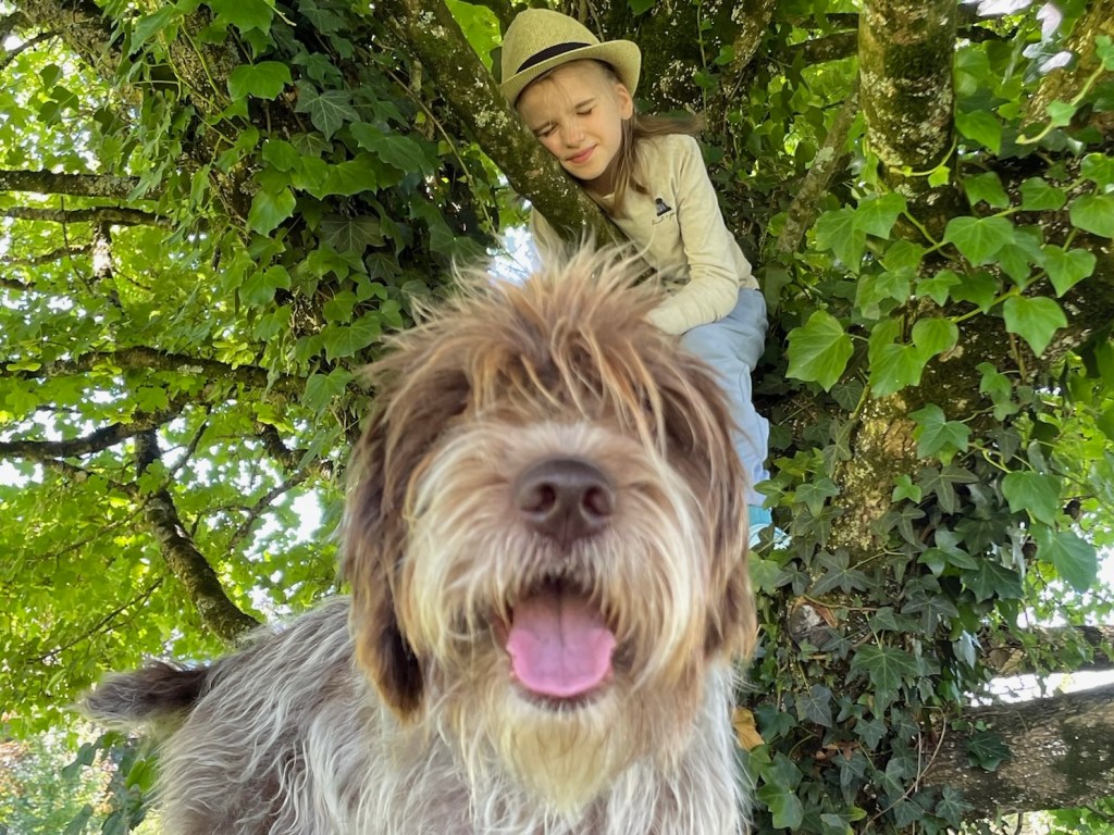 Poppy SilverSpoons #33