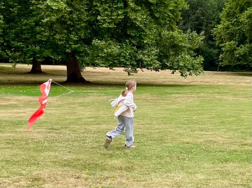 Kiff et le&nbsp;cerf-volant