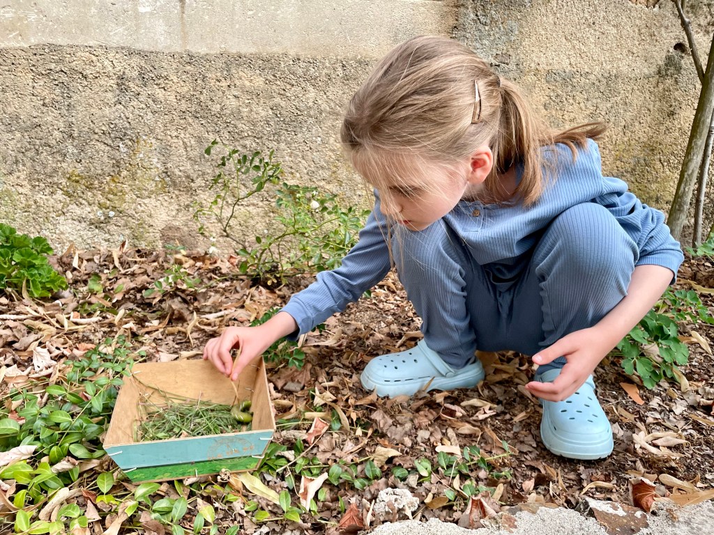 Lectures d&rsquo;été