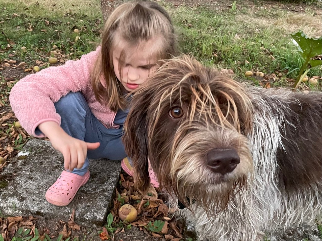 La semaine 40 de&nbsp;Poppy