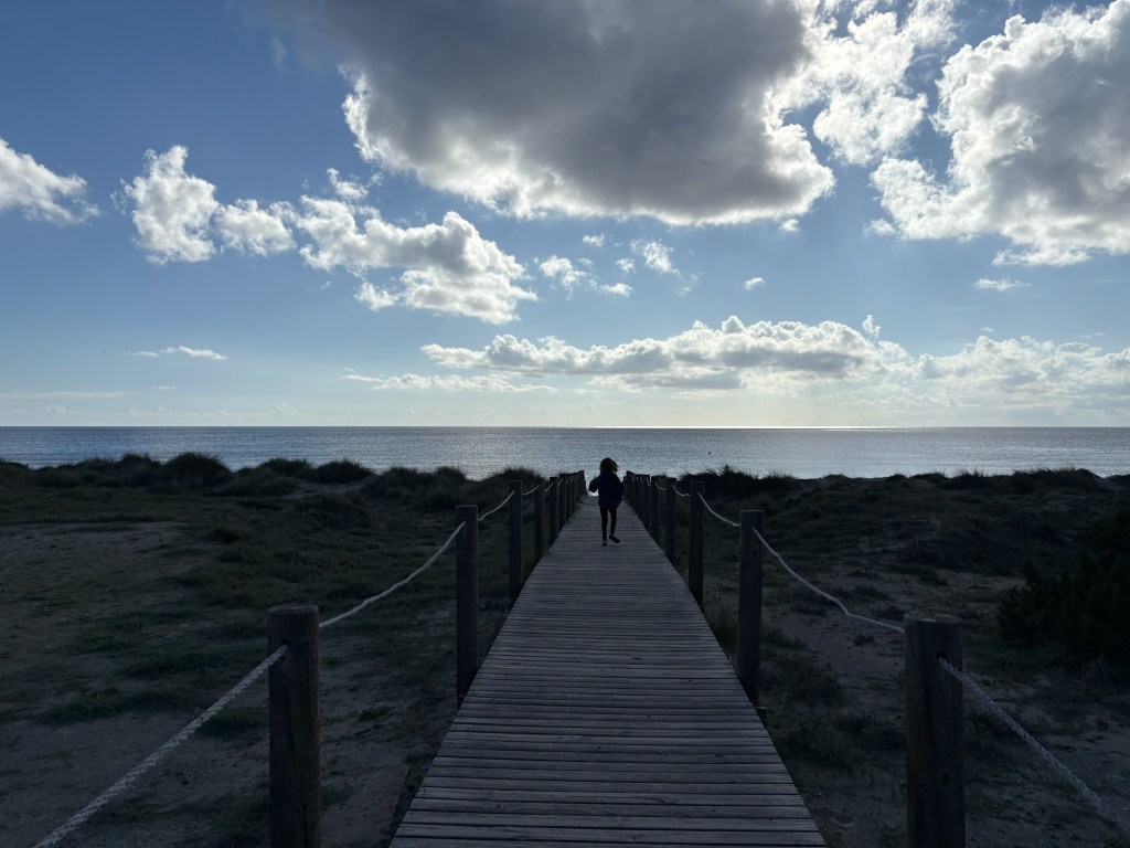 Poppy SilverSpoons #43